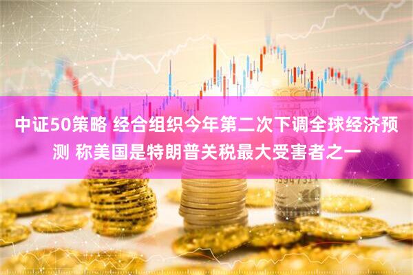 中证50策略 经合组织今年第二次下调全球经济预测 称美国是特朗普关税最大受害者之一
