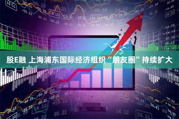 股E融 上海浦东国际经济组织“朋友圈”持续扩大