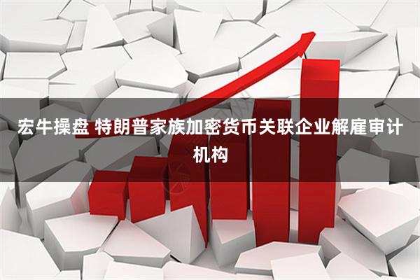 宏牛操盘 特朗普家族加密货币关联企业解雇审计机构